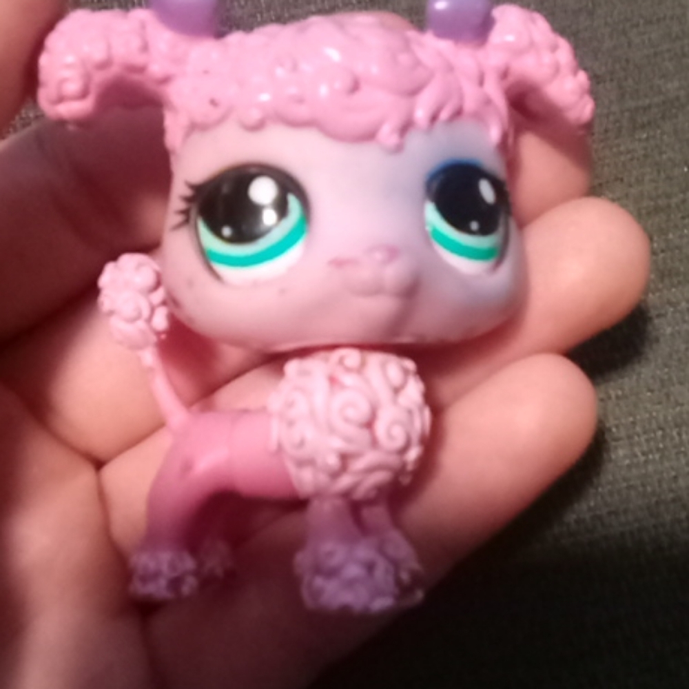 Pink poodle lps